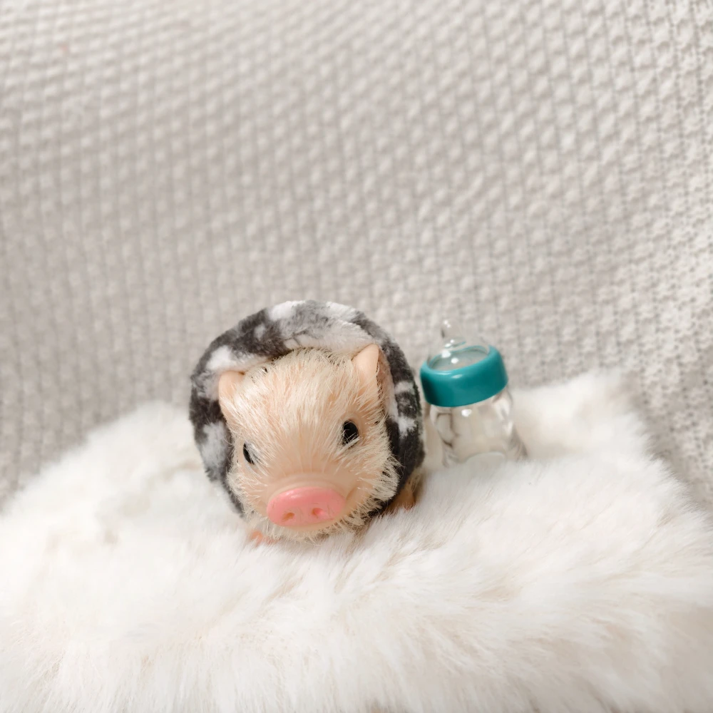 ตุ๊กตาหมูซิลิโคนขนาด 5 นิ้ว น่ารัก นุ่มนิ่ม เหมือนจริง พร้อมอุปกรณ์เสริม ตุ๊กตาหมูเหมือนจริงสำหรับเด็กแรกเกิด ของเล่นคลายเครียด ของขวัญ