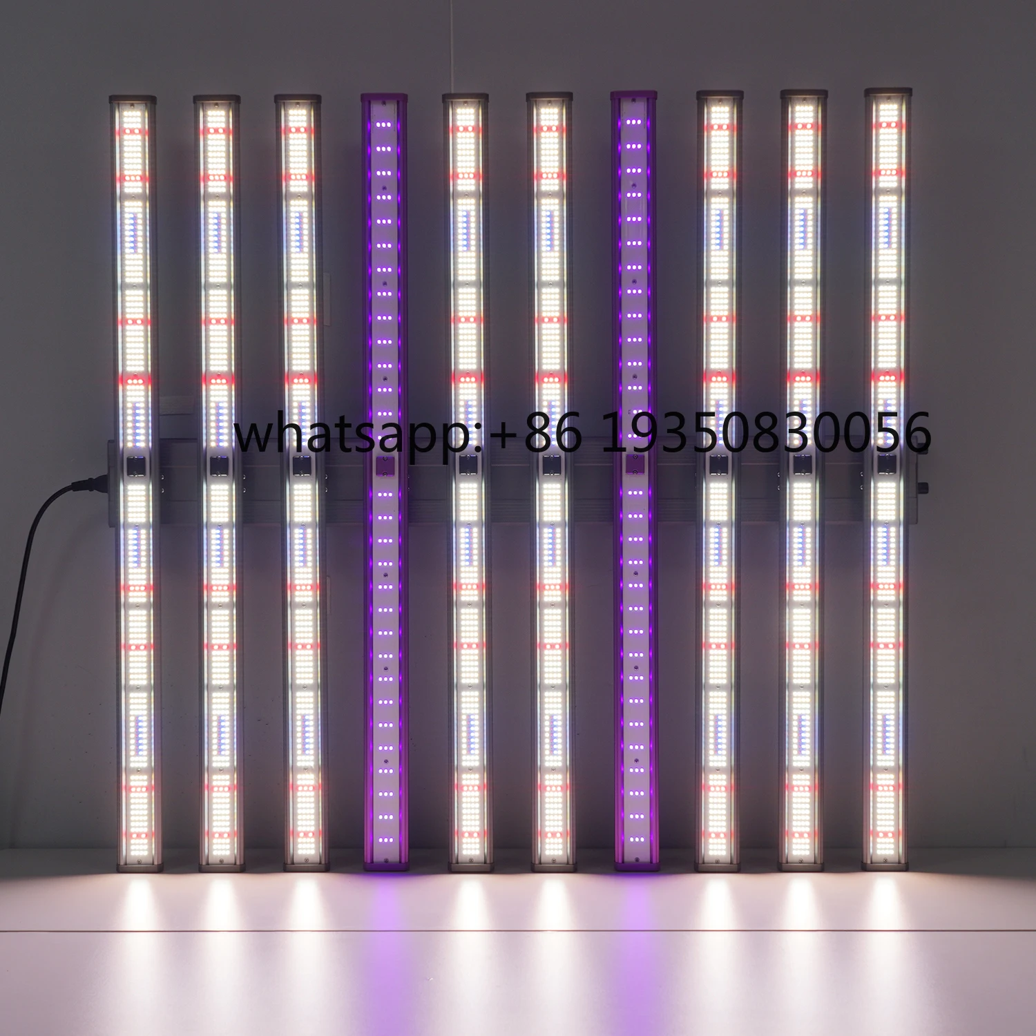 Two Channel 800W LM301H EVO Grow Light Rigs IP65 Adjustable 120° Beam Angle 3.0μmol/J PPE Optimization for Greenhouse Plants