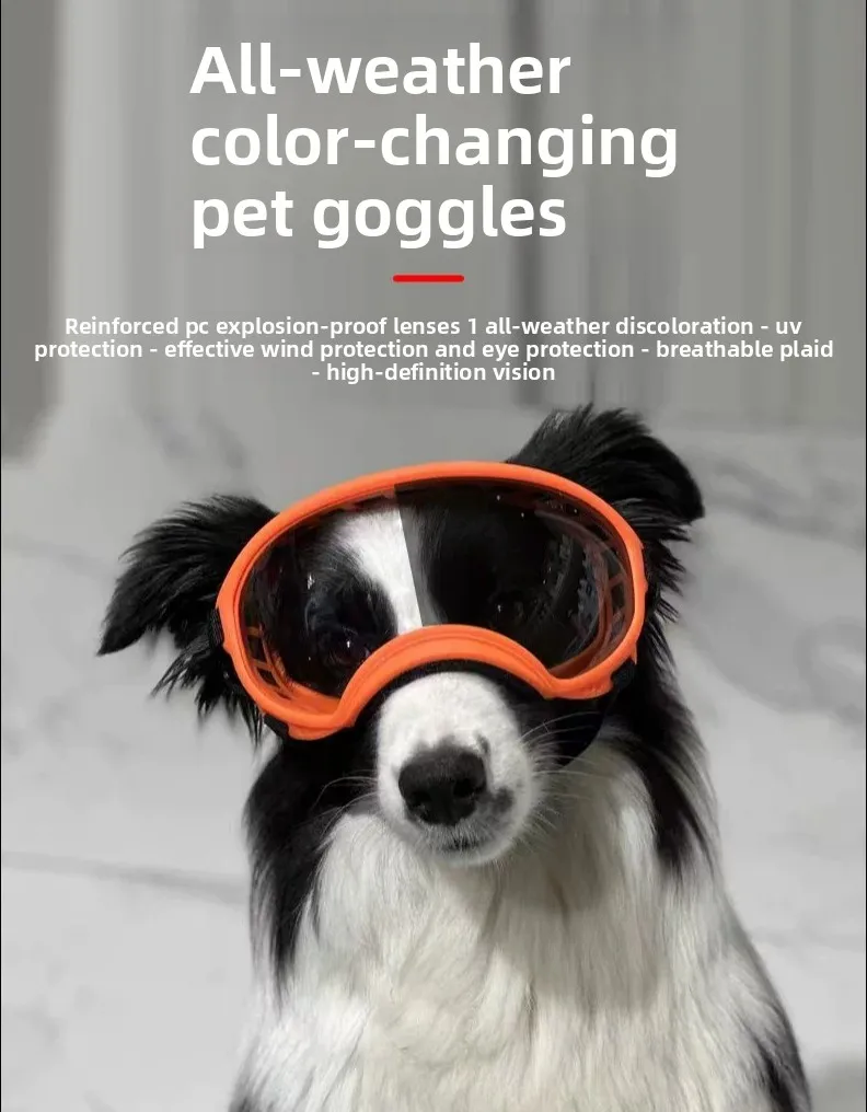 ZHAYA Dog Sunglasses Photochromic Windproof Fashionable Outdoor Pet Accessories Adjustable Lightweight Comfortable