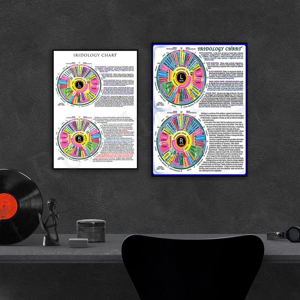 Iridology chart art ophthalmologist poster for health assessment by reading iris pattern in eye