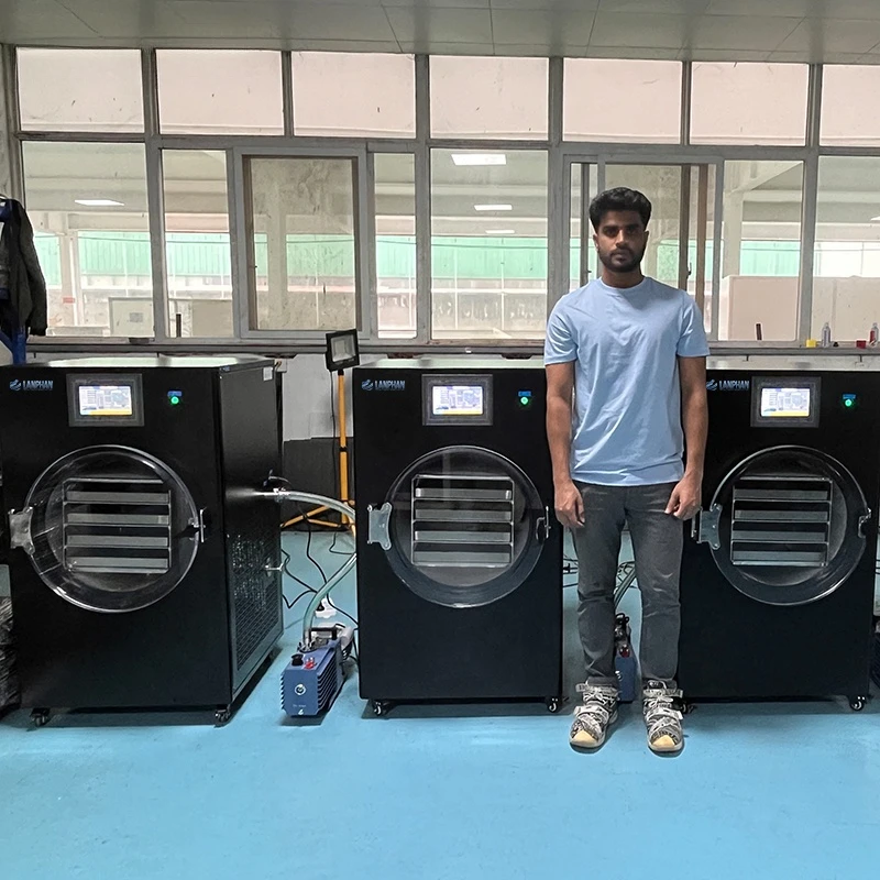 Automatic Home Freeze Dryer/Lyophilizer With Oil-Free Pump For Food Processing