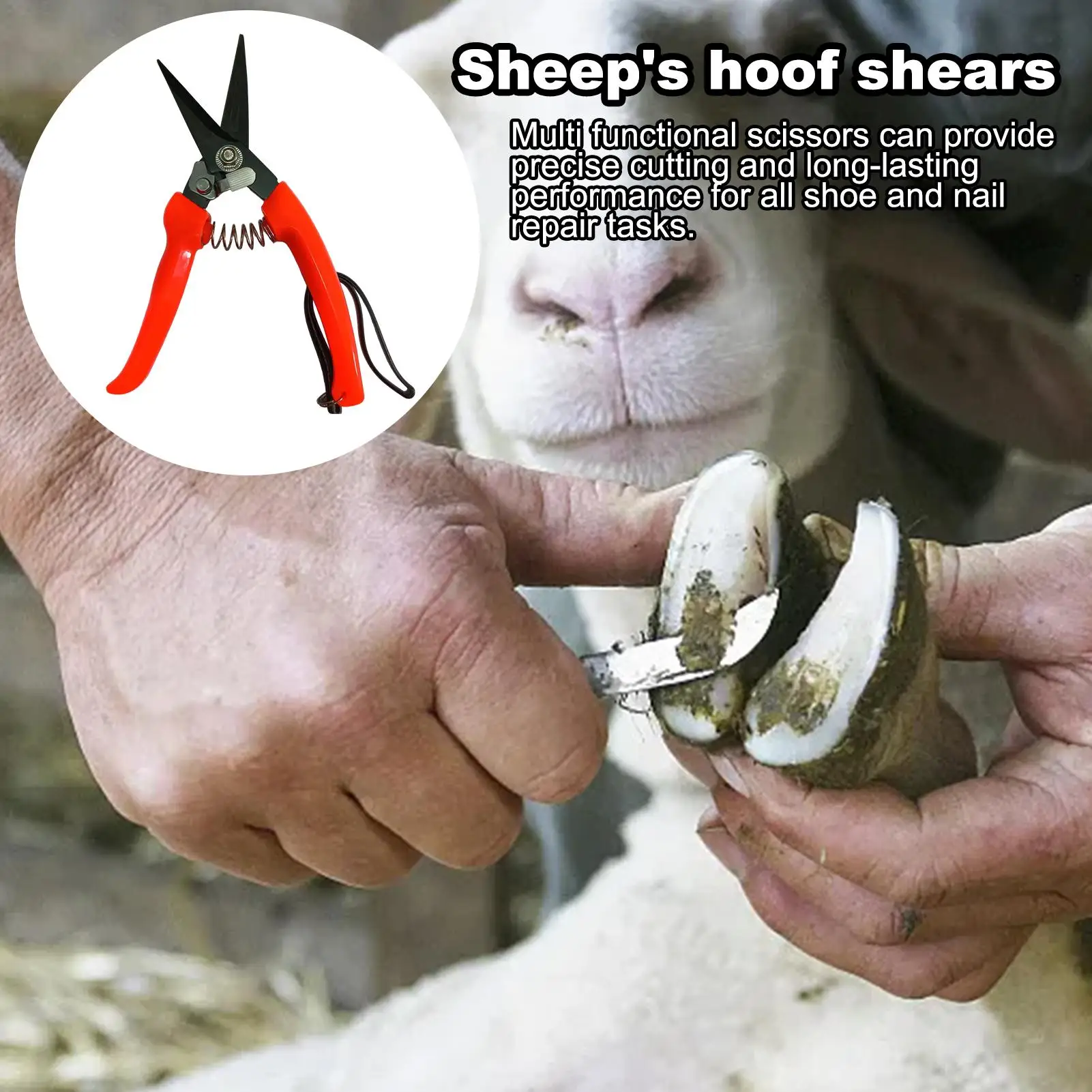 Goat Hoof Trimmer Ergonomic Sheep Hoof Shears Spring-Loaded Horse Clippers Stainless Steel Sheep Shears Trimming Shears Nail