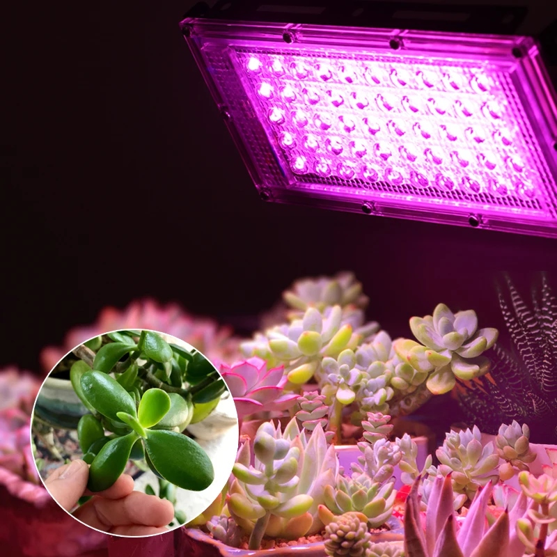 Reflector Led de espectro completo, lámpara de crecimiento de plantas, proyector de luz de calle hidropónica, 1/4 piezas