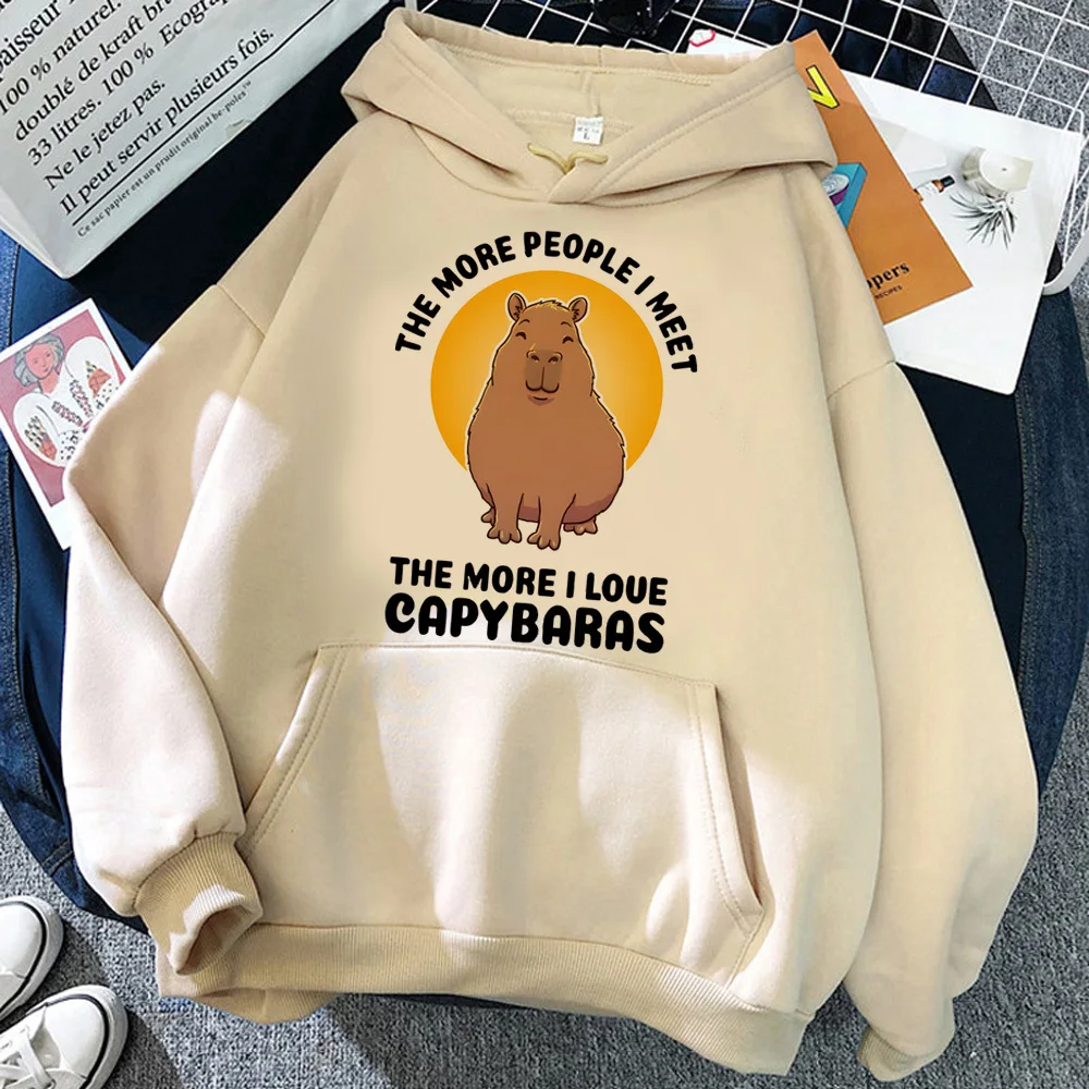 Capybara hoodie Y2K comfortable harajuku patterned tracksuits sweatshirts printed design designer modern style funny