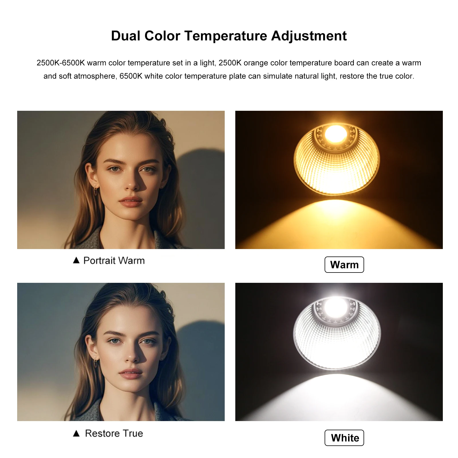 PULUZ 60 ワット COB ビデオライト 2500K- - Strobe Light Studio のレビューと価格