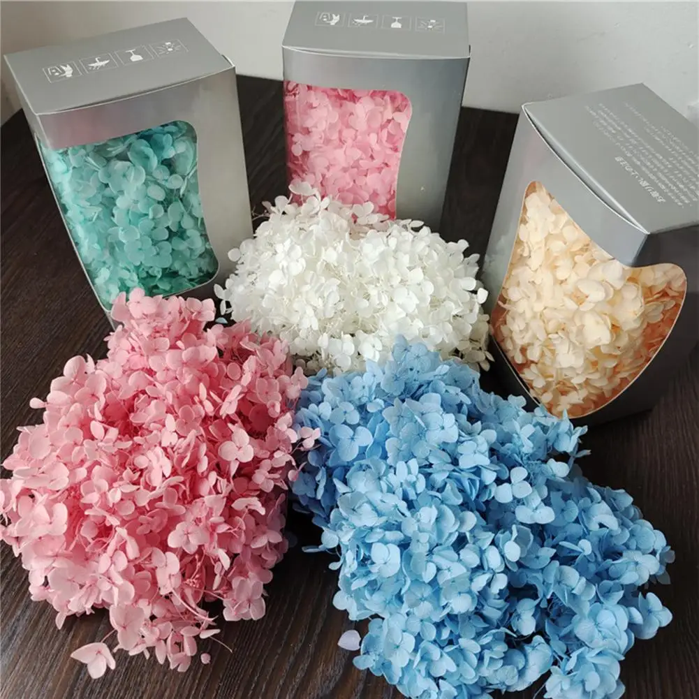 

20g/Box Dried Flowers No Watering Decorative Fresh-keeping Artificial Hydrangea Flowers Gift Box Set Home Wedding Decoration