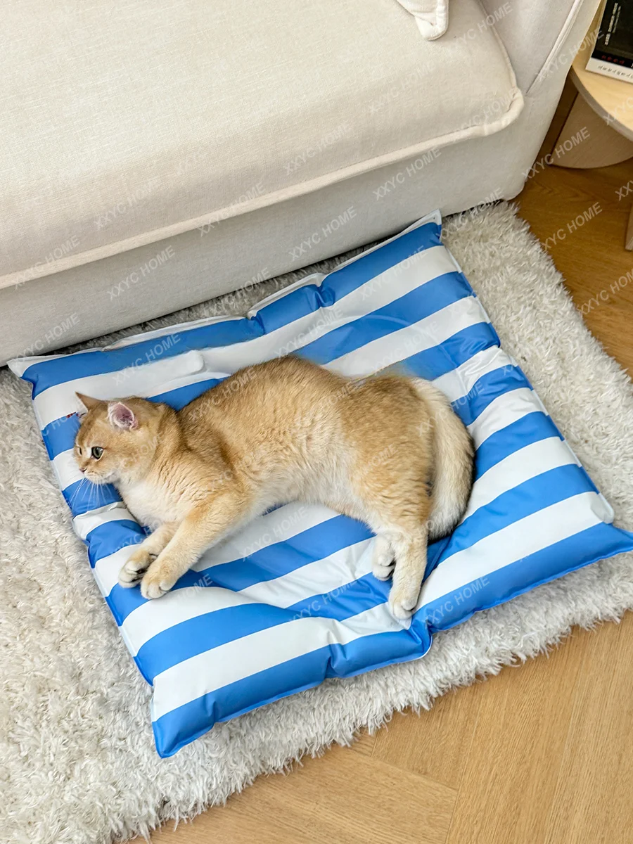 Liefde Huisdier Ijs Pad Kat Zomer Kattenbakvulling Hond Mat