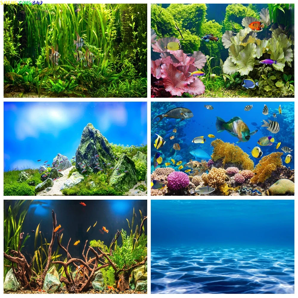 

Underwater world sea background ocean underwater fish Coral aquarium fisherman portrait baby tapestry photography background