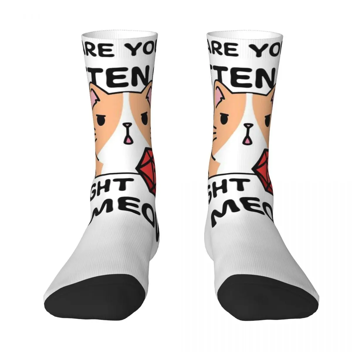 Dungeon Meowster 2 DnD Game Fabric Unisex Winter Socks Running Fun printing Socks Street Style Crazy Sock