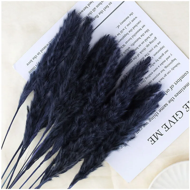 

White, Primary Color Small Pampas Grass Head Size Is About 25cm And 15pcs/Lot Natural Reed Grass For Home Wedding Room Decor