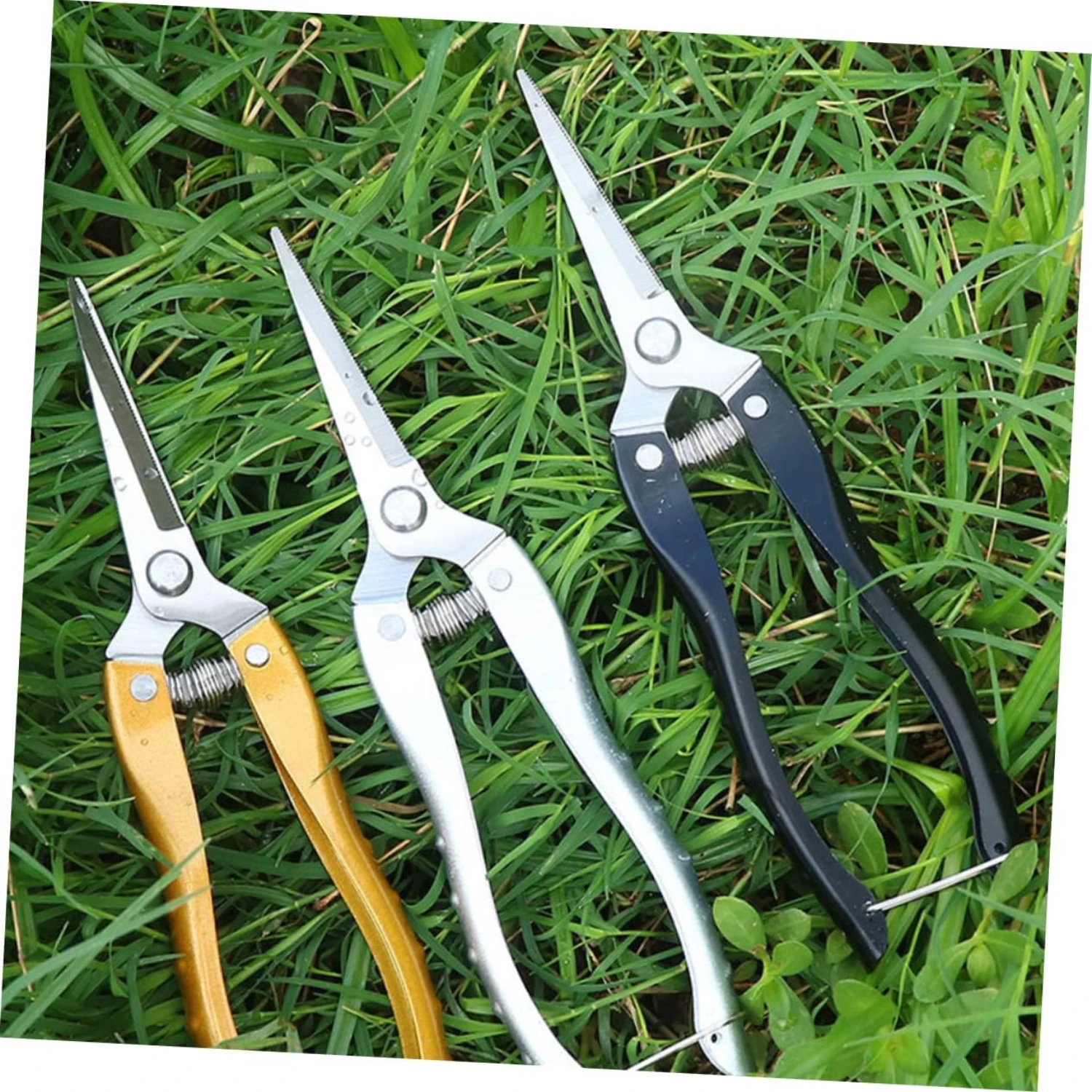 Enhance Your Landscaping Skills and Achieve Top-Notch Results with this Essential High-Quality Professional Pruning Shears - Tra