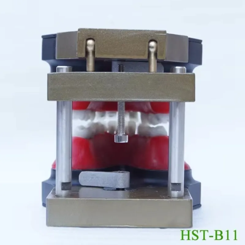 YTYIN نموذج تدريب محاكاة تقويم الأسنان مكون من نموذج أسنان مزخرف بالشمع وإطار فكي لتقويم الأسنان #3