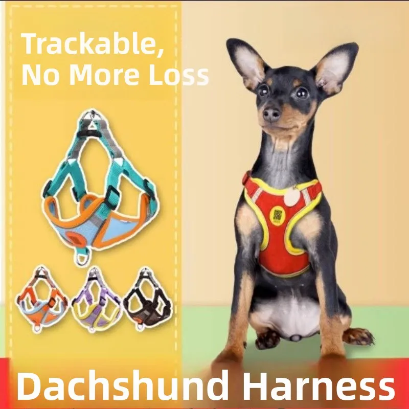 Small Deer Dog Spec…