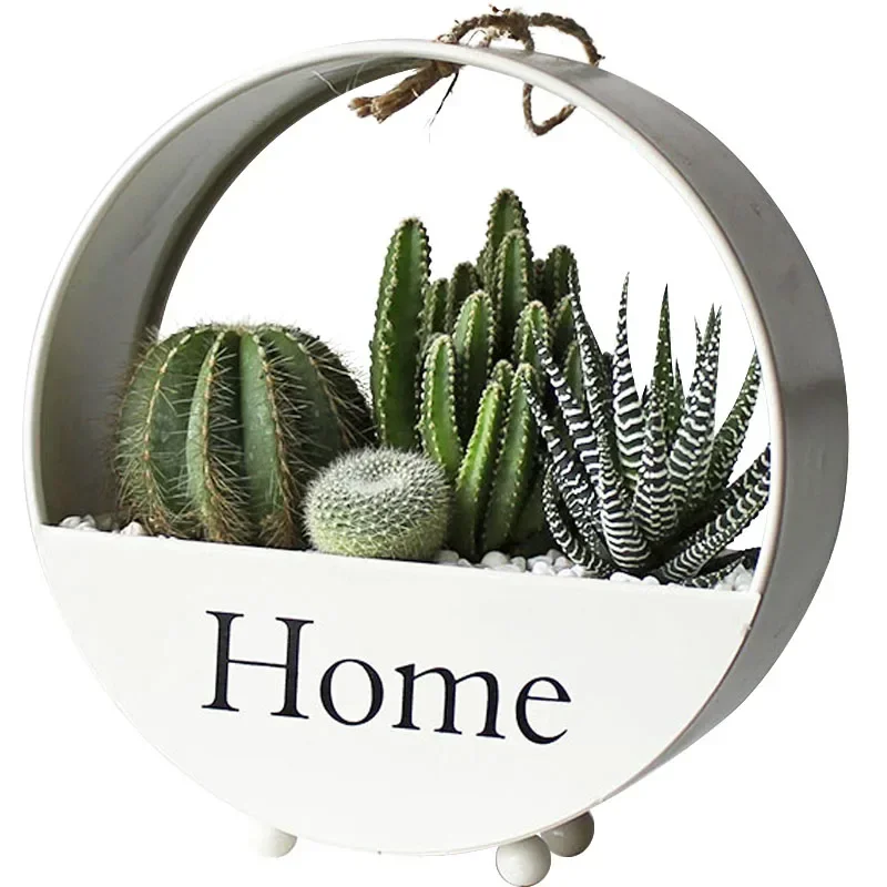 

Hot salesSucculent plant cactus combination potted office desktop indoor green plant creative gift