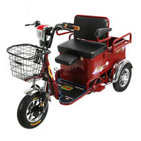 Electric tricycle household small pick-up child elderly scooter