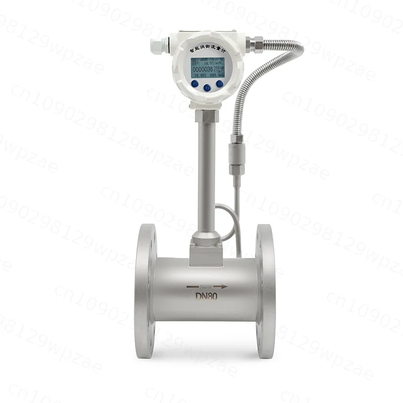 DN50 Integrated Variable Area Flow Meter 4-20mA RS485 Stainless Steel Gas Steam Compressed Air Water Flow Sensor OEM