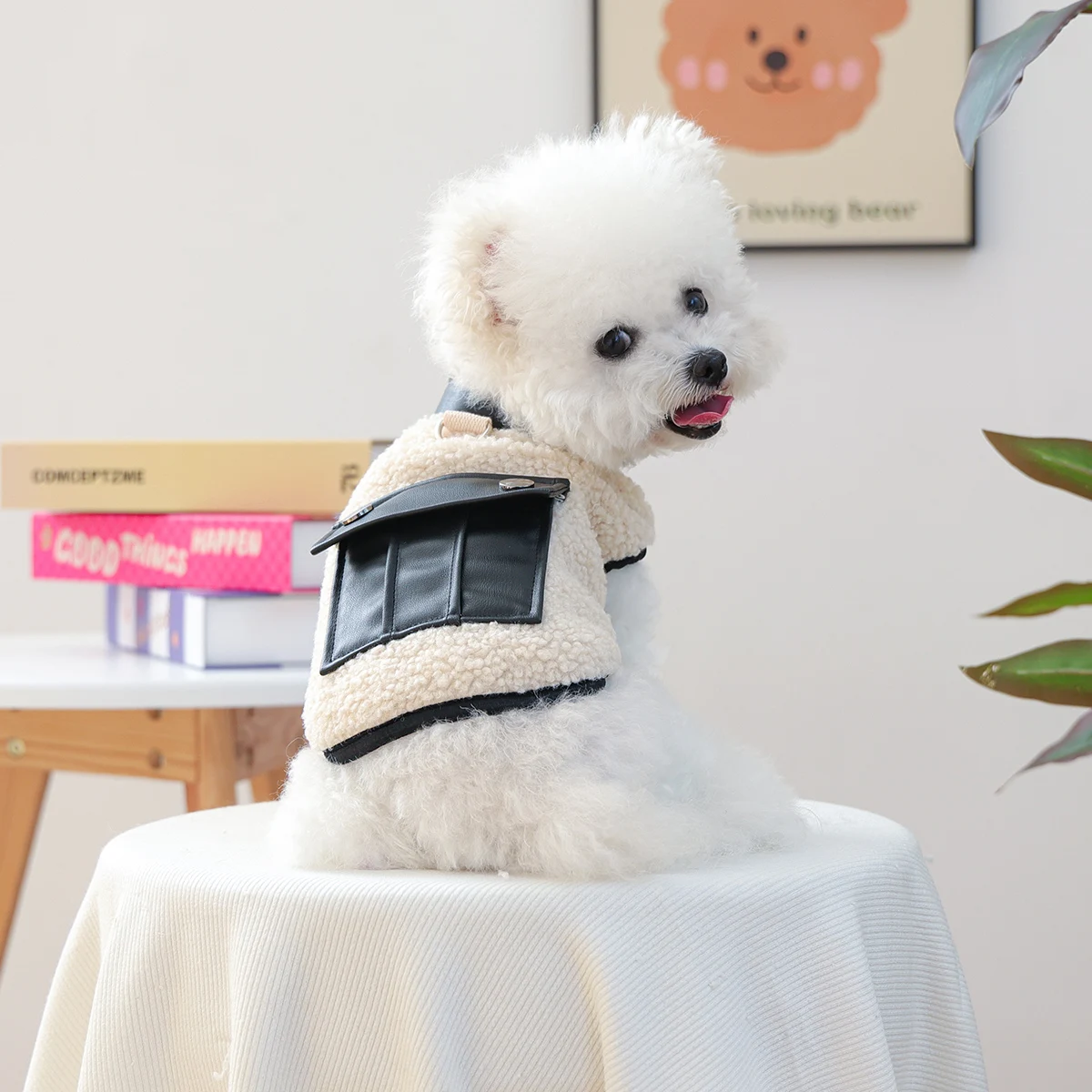 ملابس الخريف والشتاء للقطط والكلاب الأليفة، سترة جلدية صغيرة وسيم بجيب من لحم الضأن - سترة عصرية سوداء سميكة