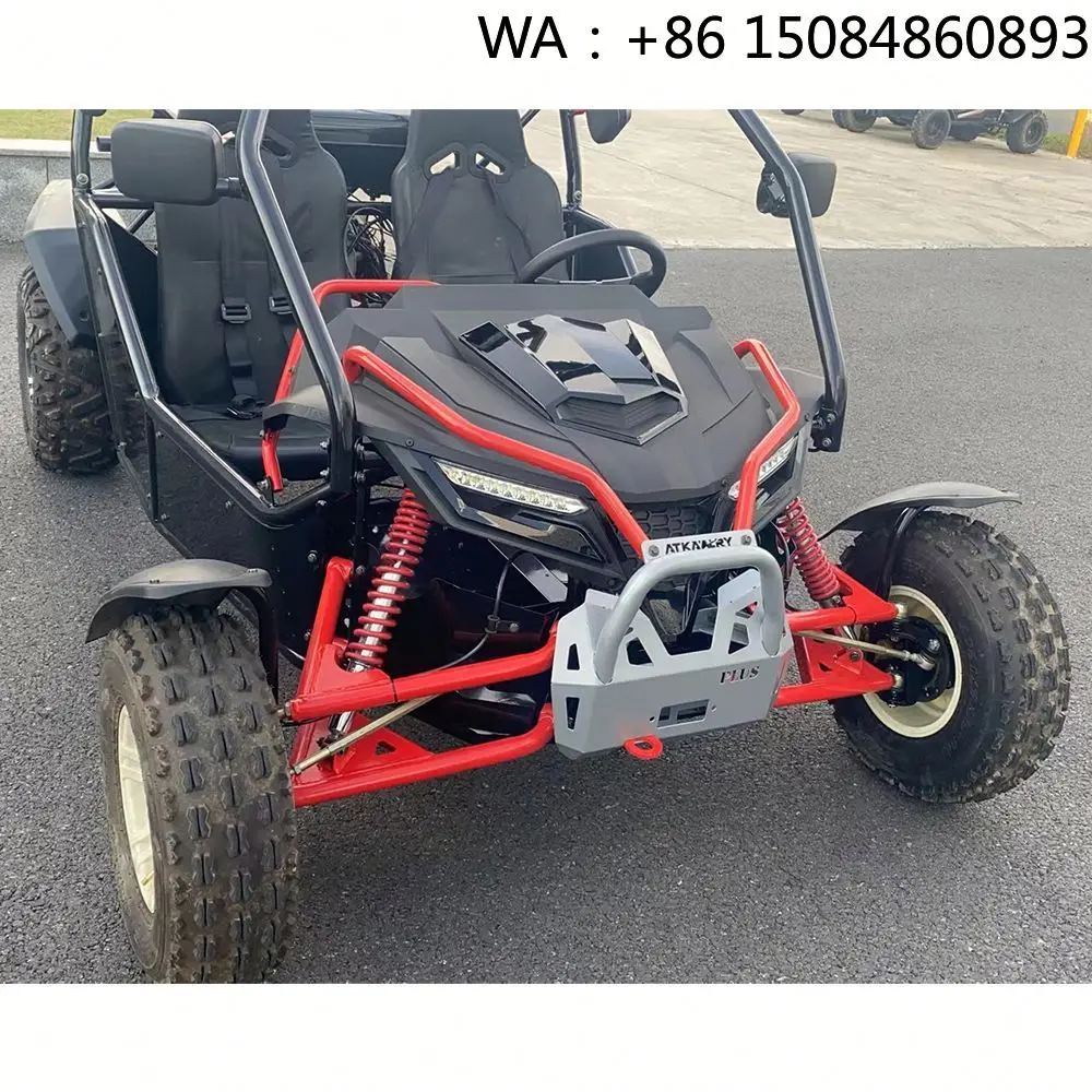 Two Seat 4 Stroke Gas Pedal Go Kart, Balanced Power Component For Adult Teen Child Family Outdoor Beach Sport