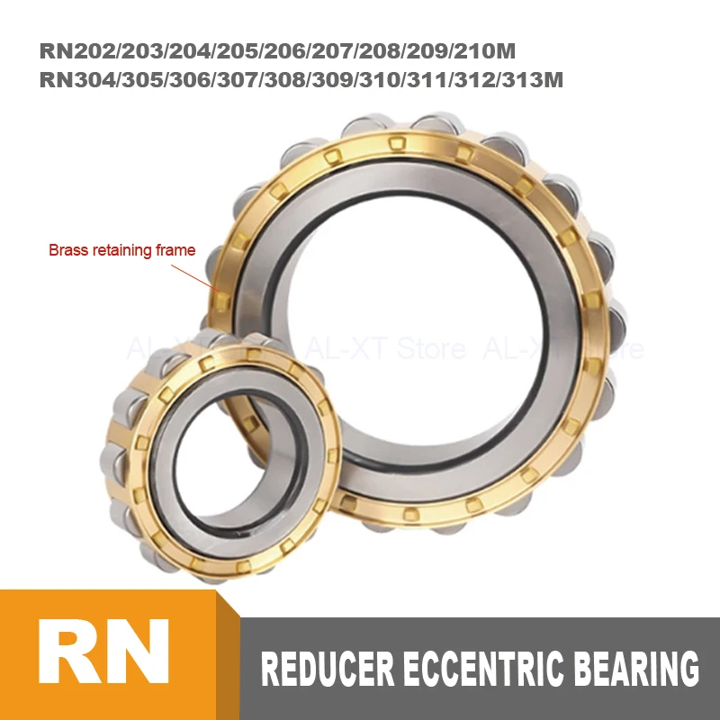 Brand Reducer Part Eccentric Bearing Cylindrical Bearing RN202/RN203/RN204/RN205/RN206/RN208/RN209/RN210/RN304/RN305/RN306/RN307