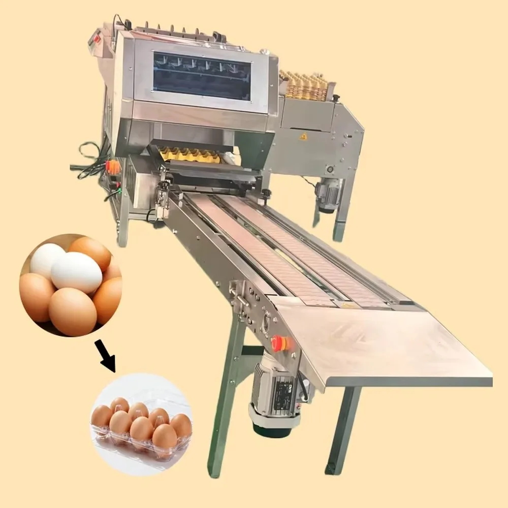 Automatic Poultry Egg Packer Machine Paper Pulp Egg Tray Packing Equipment No Damage for Chicken Farms