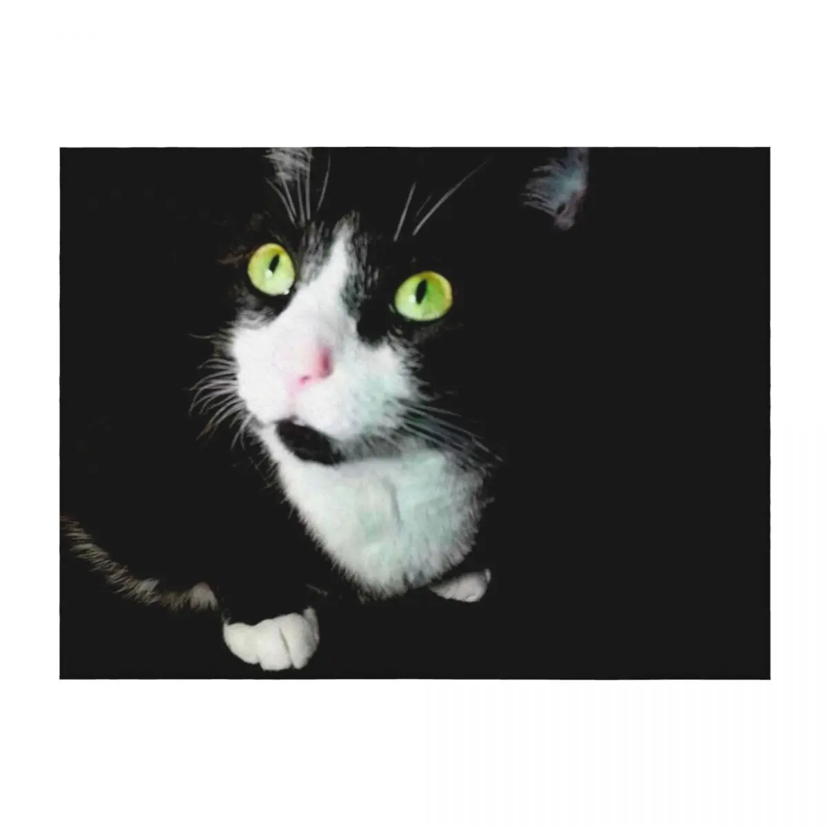 

Papa Sonny the Miracle Kitty Throw Blanket manga Furrys blankets and throws Sofa Blankets