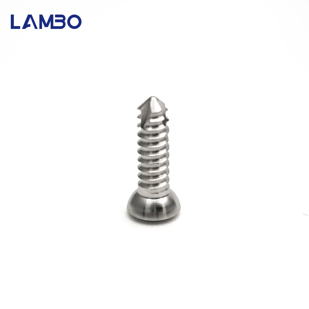 10개 수의학용 3.5mm SS 셀프 태핑 육각형 피질 나사 수의 정형외과 임플란트 수술기구 애완동물 제품