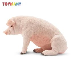 Toymany Simulation Male Adult Pig Farm Animal Model Toy Mini Figures Dolls Action Figurines Toys Children Gift