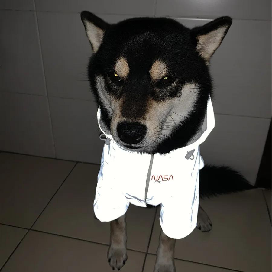 Print Polyester Dog Jacket Adjustable Raincoat Waterproof Costume Cool for Puppy Cute Dogs Astronaut Pet Accessories Supplier