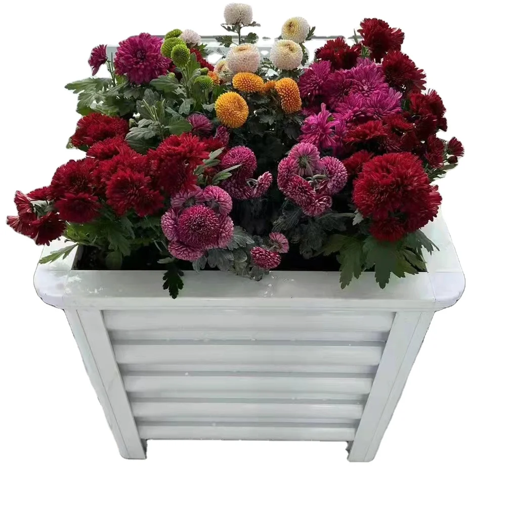 

Новый дизайн товаров для дома и сада Цветочные горшки Кашпо для уличных кашпо