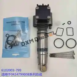 DXM for EUP Fuel Pump Repair Kits for MB BENZ 0414799008 F00HN37069 0414 799 008 0414799027