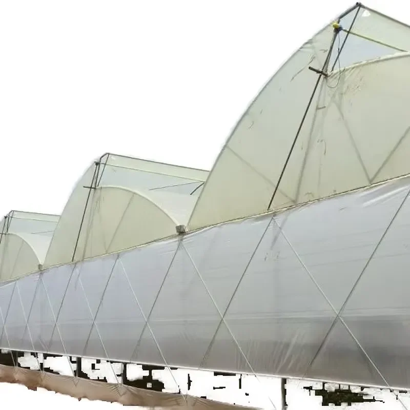 Custom Designed Large Thermal Insulation Transparent Polycarbonate Hollow Agriculture Greenhouse