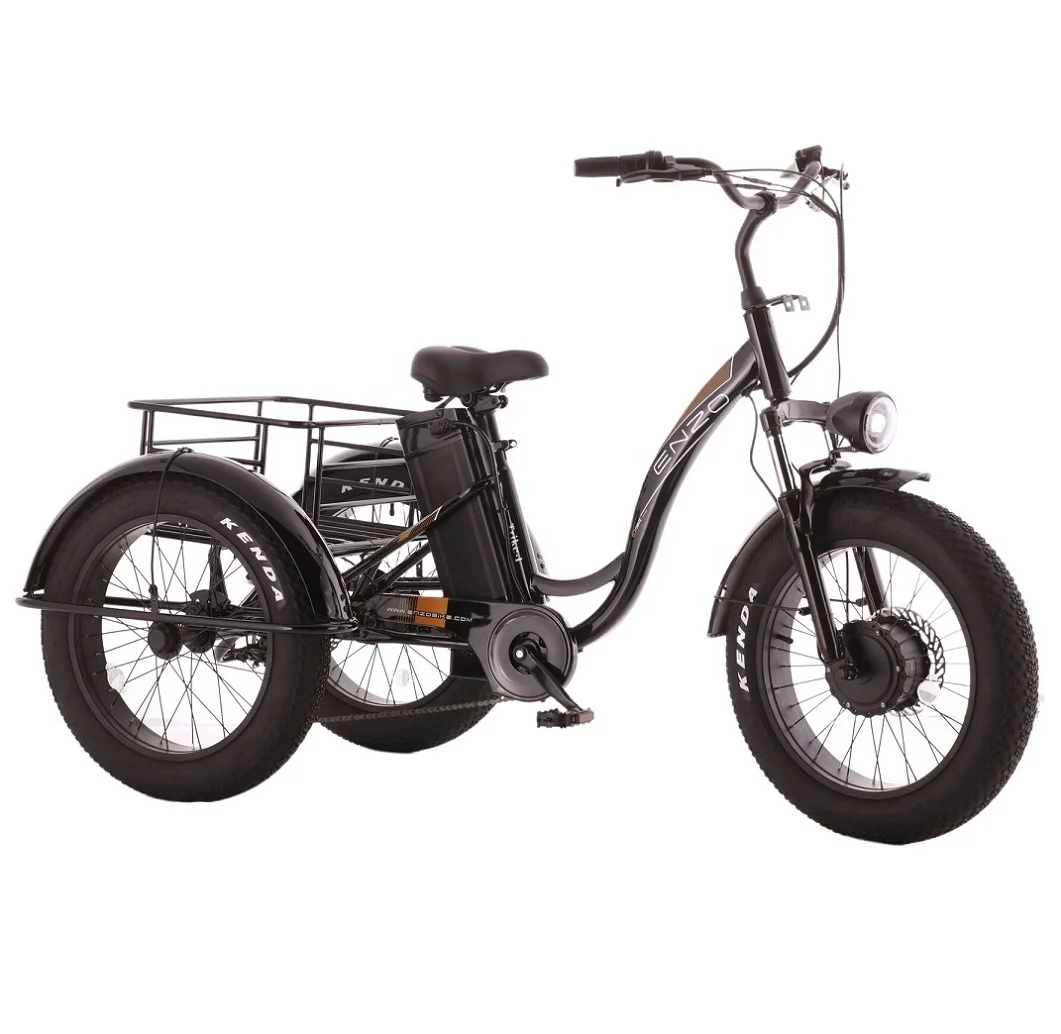 

Intelligent Library OEM 20 Inch Fat Tire Cargo Bike Tricycle Electric Delivery Bike 3 Wheel Ebike
