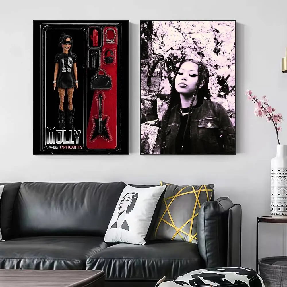 Molly S-Santana Can't Touch This Peelable Self-adhesive Poster Stickers Are Suitable For Frameless
