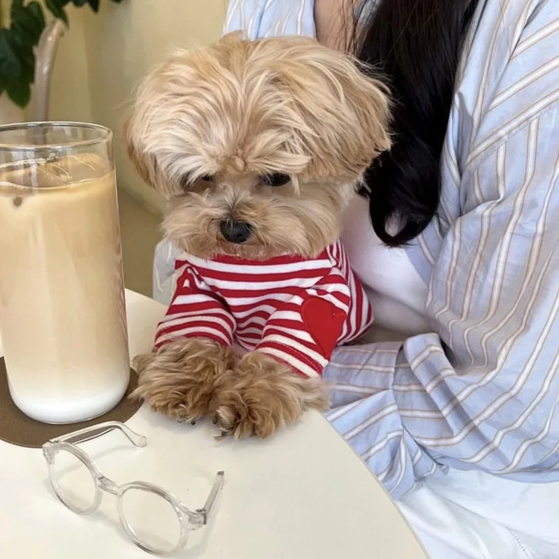 πΆπ€ Keep your pup cool and stylish this summer! This fashionable black striped dog vest 3