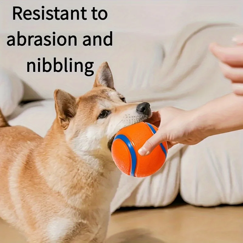 Thumbnail 4 - #26 Dog Fetch Toys List of Top Picks