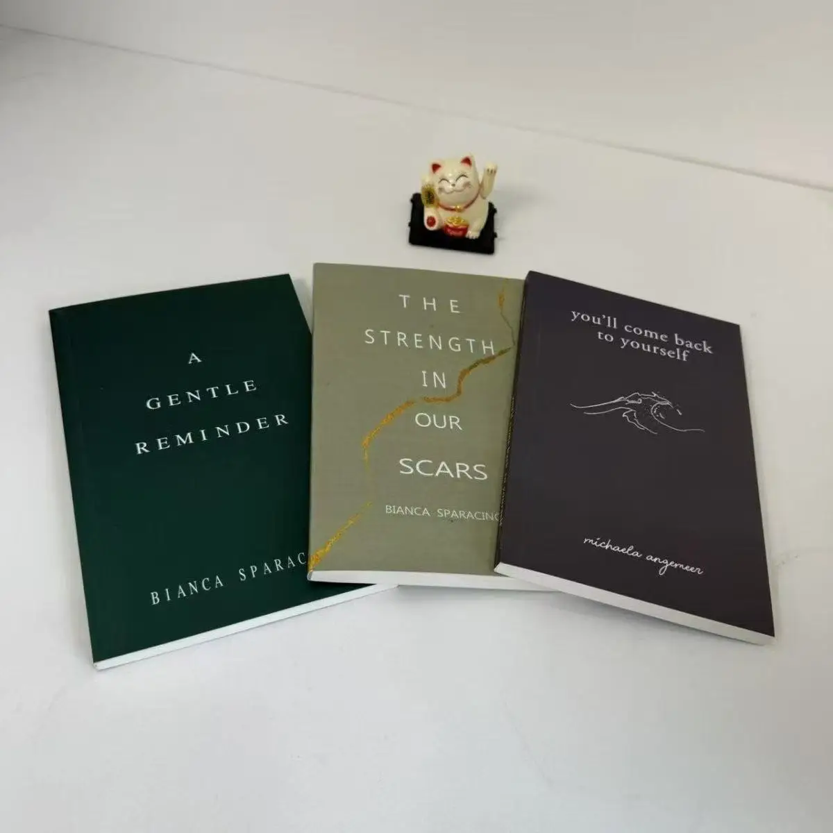 

Книга «Нежное напоминание, три книги в мягкой обложке на английском языке»