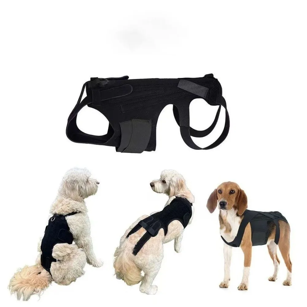 Adjustable Dog Back Support Vest Comfortable Breathable Spine Support Clothes Back Protector Pet Support Harness Soothe Emotions
