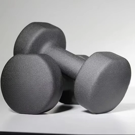 Customized Portable Iron Dumbbell Set for Home Gym for Fitness Training & Dip Workout Direct Body Building Supply