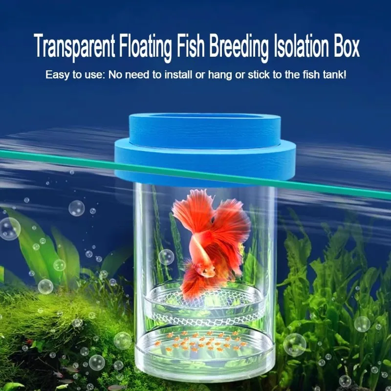 Guppy Isolation Tank Floating Acrylic Breeder Box Hatchery - Square Isolation  Tank For Baby Fish, Fry, Betta, Clownfish, Shrimp & Eggs - Aquarium  Incubator With Suction Cups