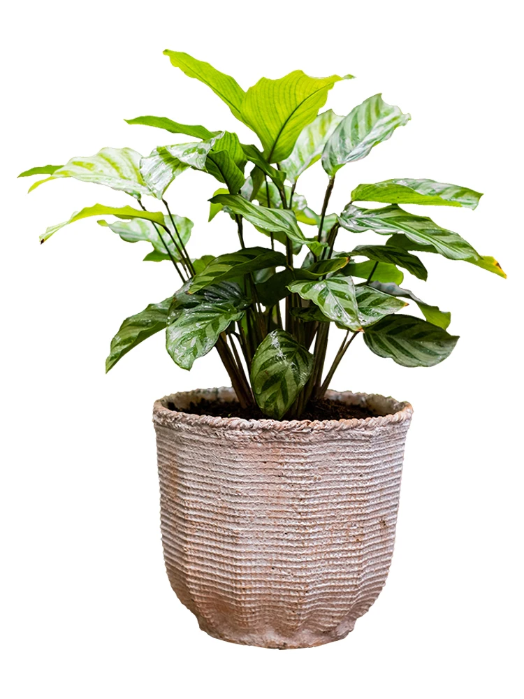 Linen texture cement decorative flower pot flowers potted plant balcony courtyard retro gardening personality INS wind