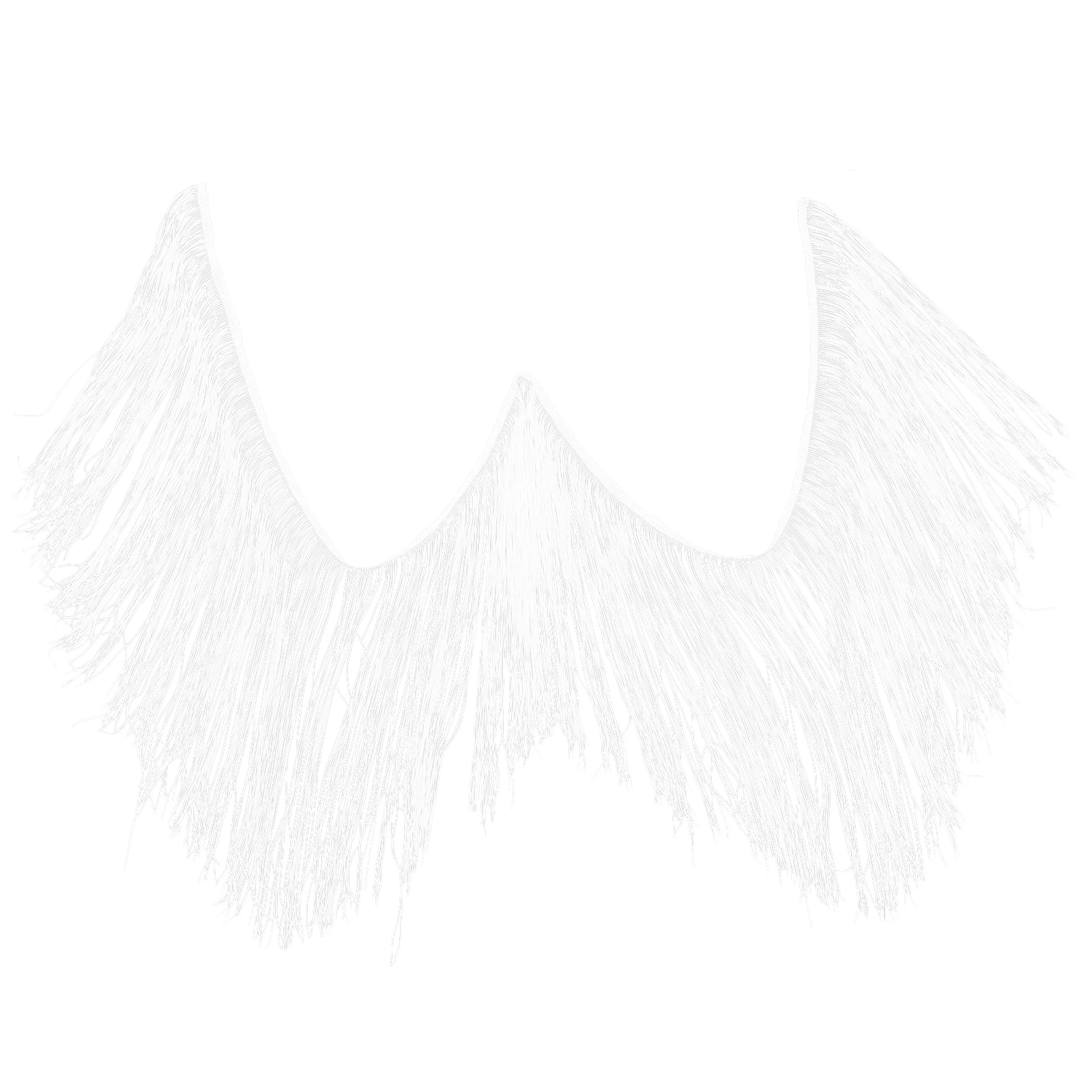 

30CM White Fringe Trim Polyester Dance Costume Accessories Women Girls Fringe Tassel Decorative Sewing Material Latin Dress