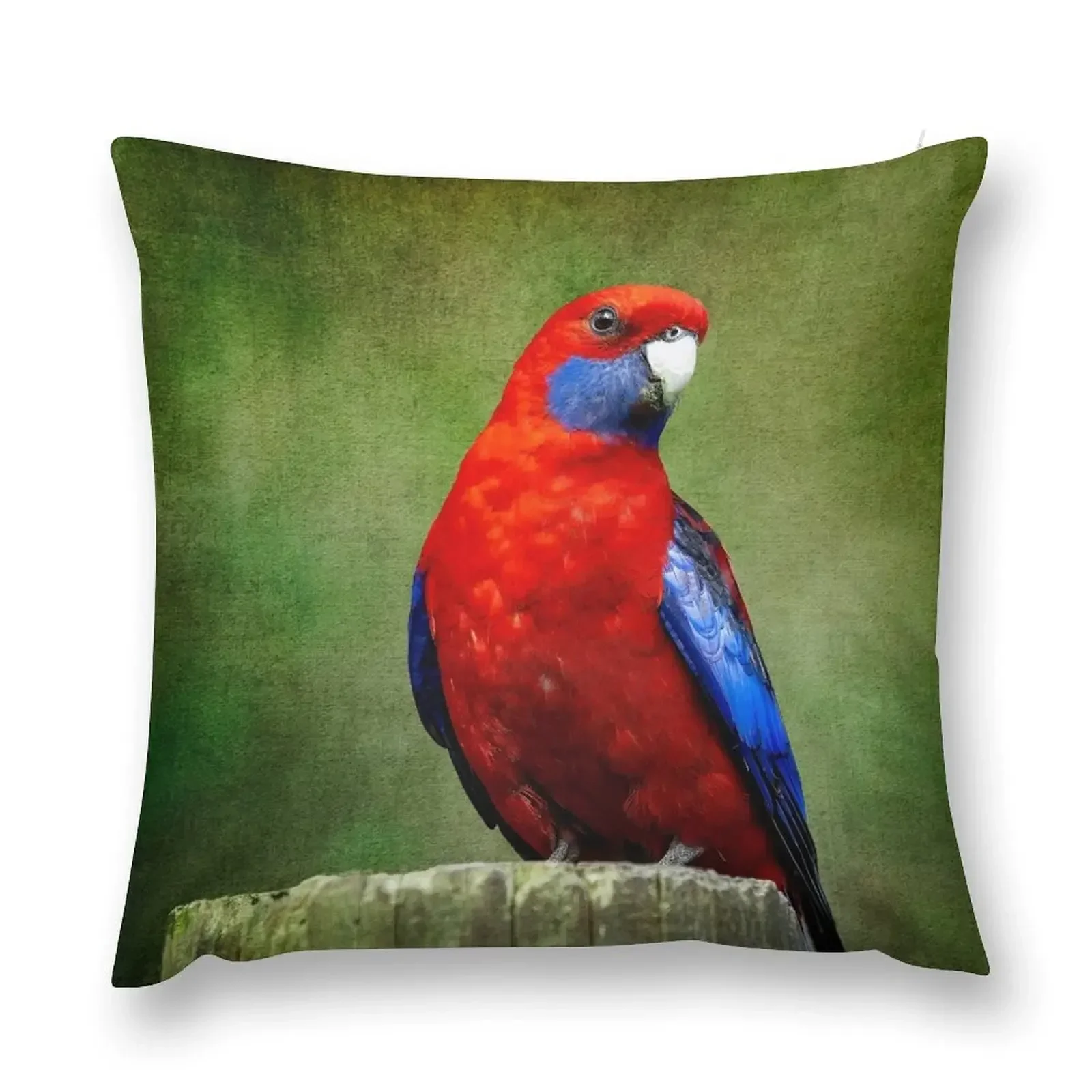 Crimson Rosella portrait Throw Pillow Pillow Cases Decorative anime girl pillow