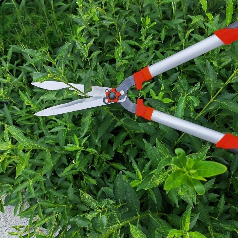 Tijeras grandes para jardinería, flores de jardín, valla para césped, recorte de ramas de árboles, cortauñas para flores y césped