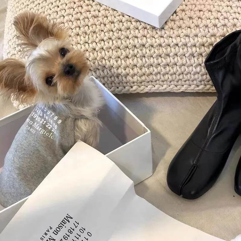 Teddy Corgi Iba Inu…