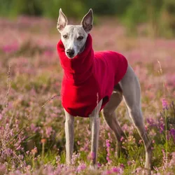 Chaleco de cuello alto para perro, ropa de invierno de lana suave, Galgo Italiano