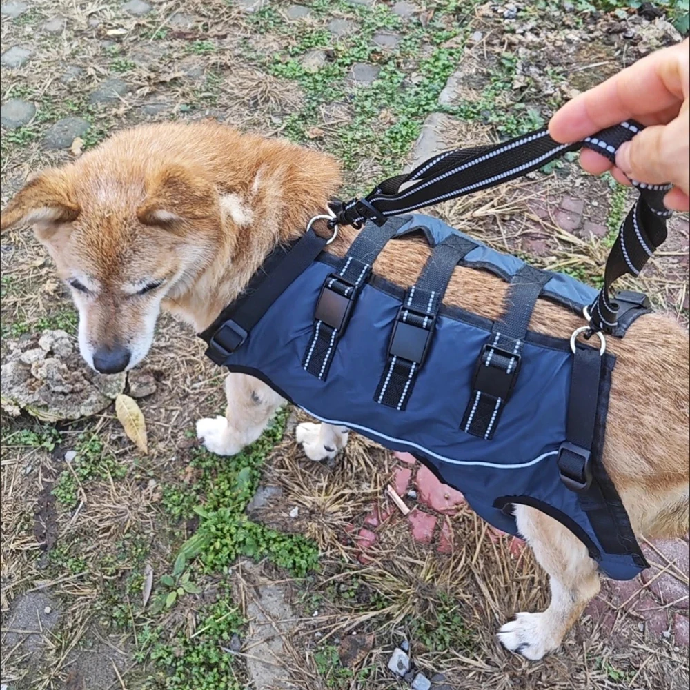 Hochwertige Haustier-Hilfskleidung für ältere Hunde mit Behinderungen, Spaziergänge, Rehabilitationsanzug, Hunde-Übungsunterstützungsgürtel – Detail 11