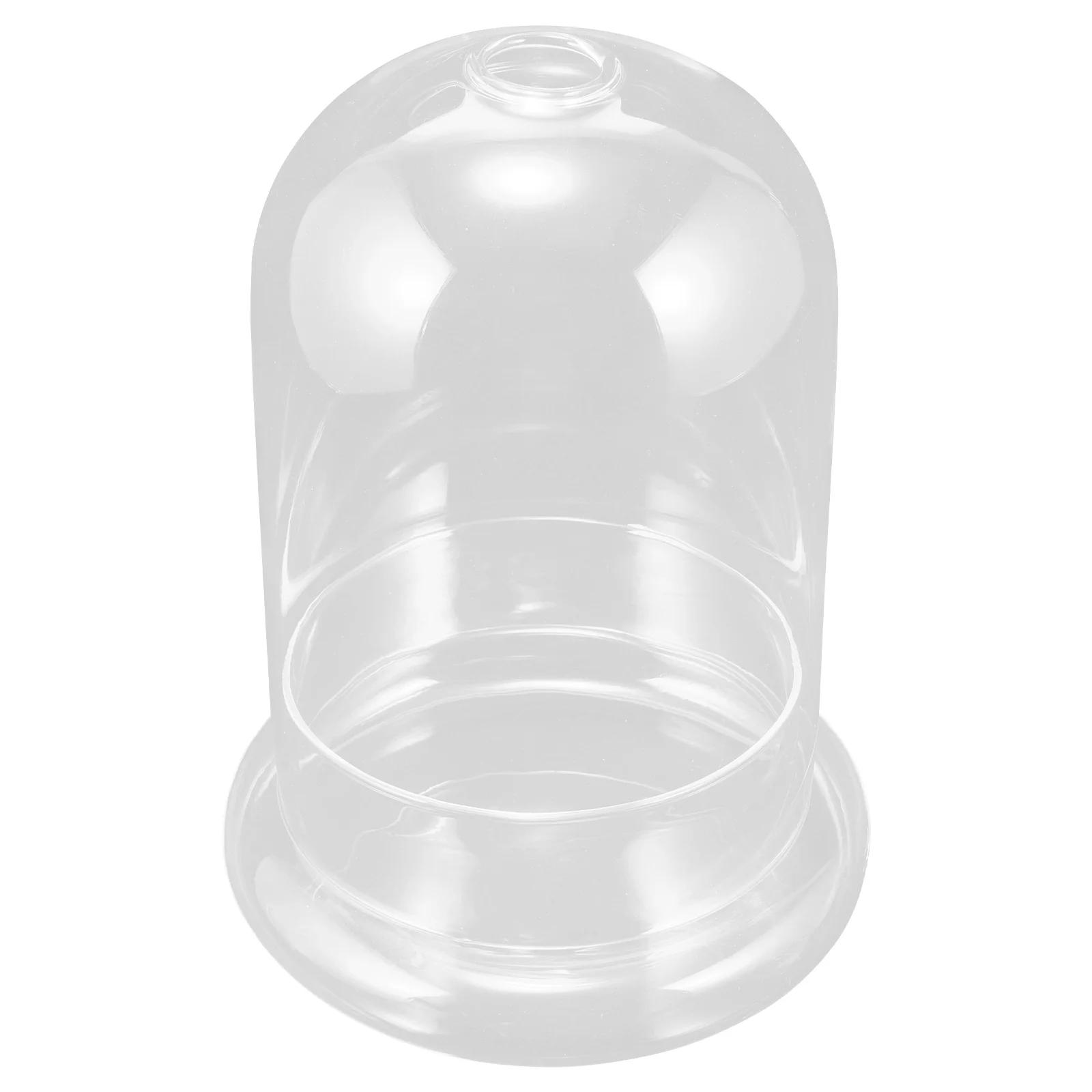 

Clear Glass Dome with Base Transparent Flower Craft Desktop Decor for Air Plants and Preserved Flowers 12cm Air Plant Terrarium