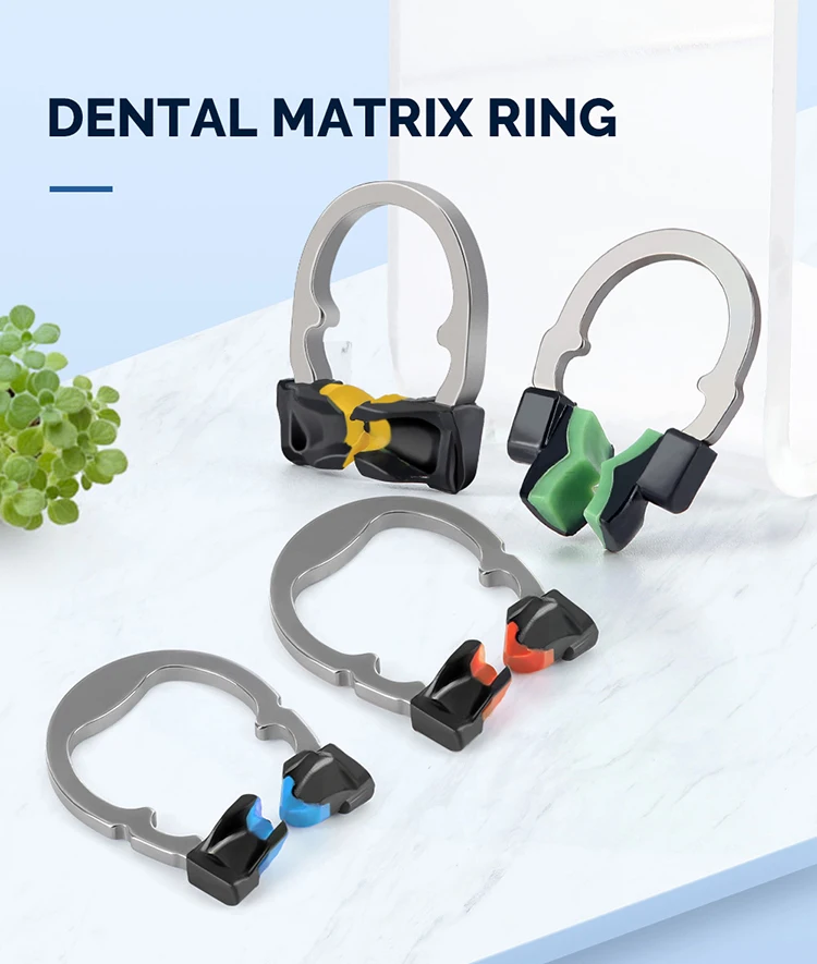 Dental Schnitt Matrix System Set Konturierte Matrizen Clip Ring Matrix Bands Keil Messer Dental Keile Kunststoff Kit Zahnarzt Werkzeuge – Detail 1