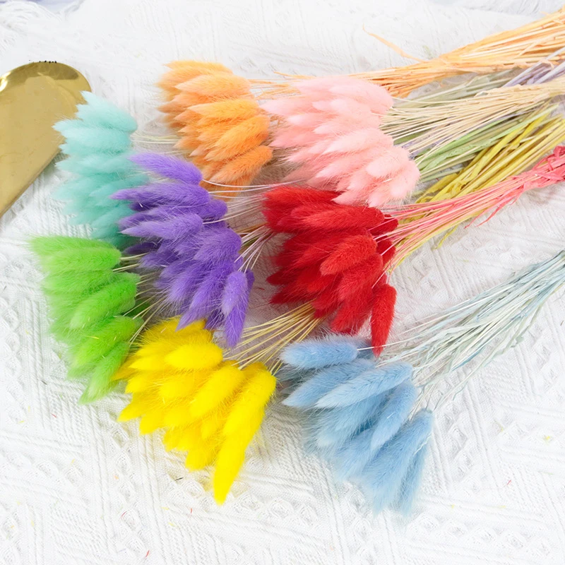 50Pcs Natural Dried Flowers Pampas Floral Bouquet Boho Country Home Decoration Rabbit Tail Grass Reed Wedding Decor Arrangement