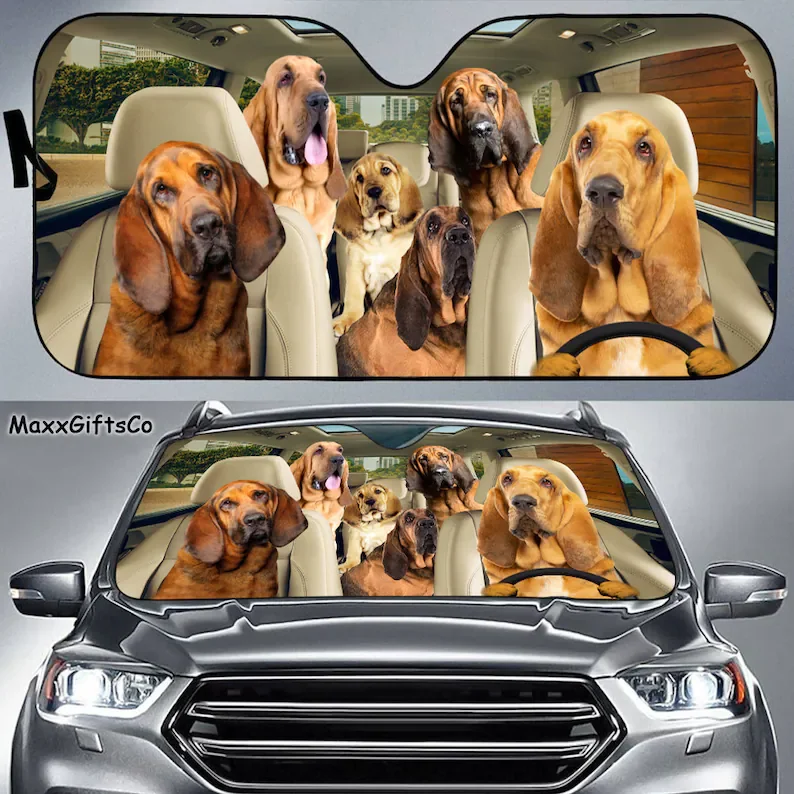 

Bloodhound Car Sun Shade, Bloodhound Windshield, Dogs Family Sunshade, Bloodhound Car Accessories, Bloodhound Lovers Gift, Car D